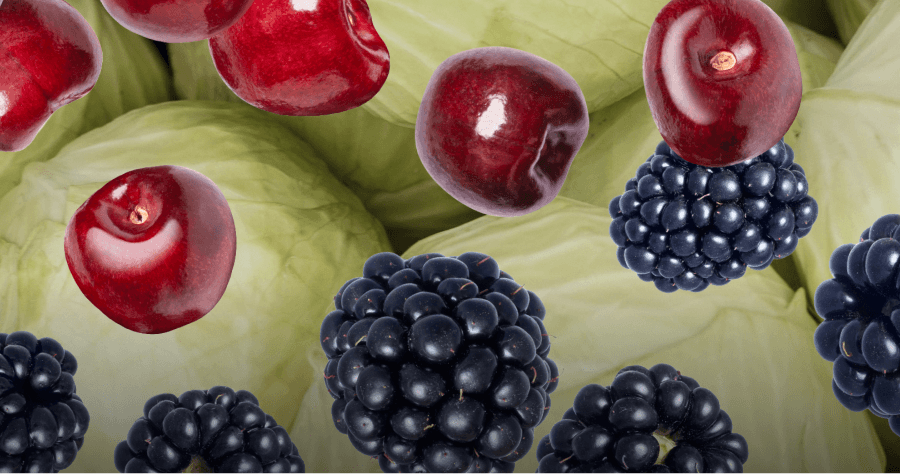 Fight Inflammation Blog (1)