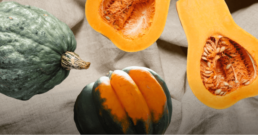6 Types of Squash + A Recipe for Each