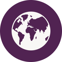 globe icon purple