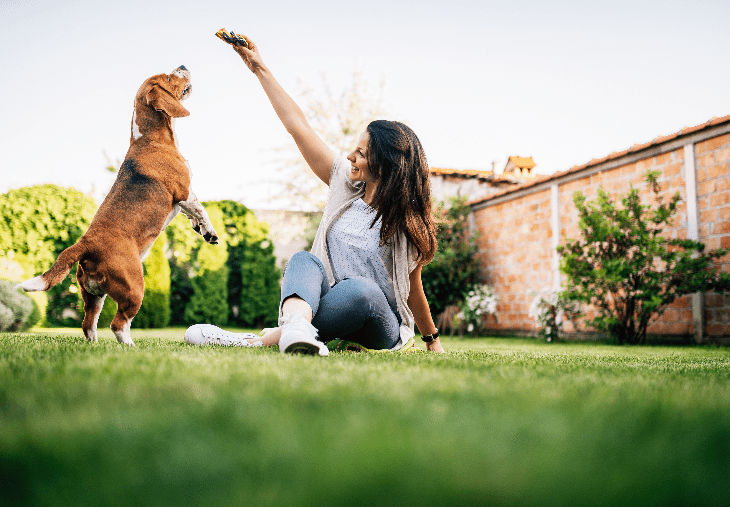 Woman playing with dog outdoors