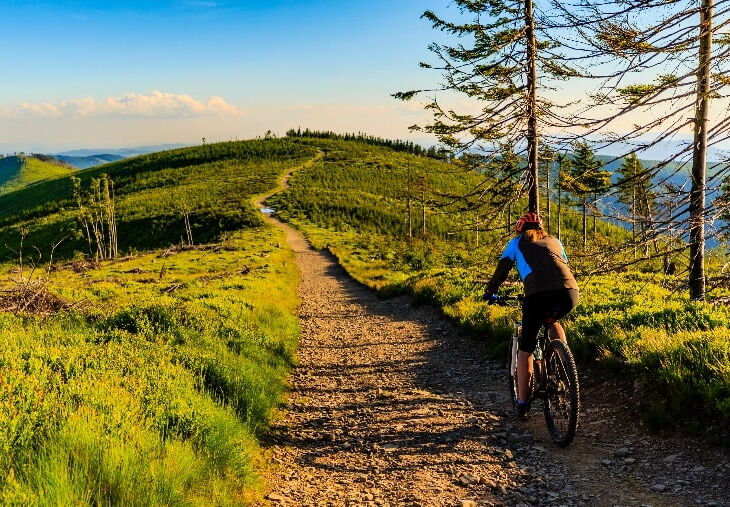 Person riding a bicycle up a mountain path